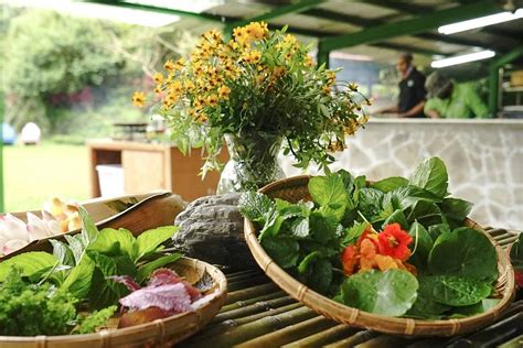 農村廚房|在地食材的台灣味－農村廚房！地區限定的農村廚房料理 — 趣吧。